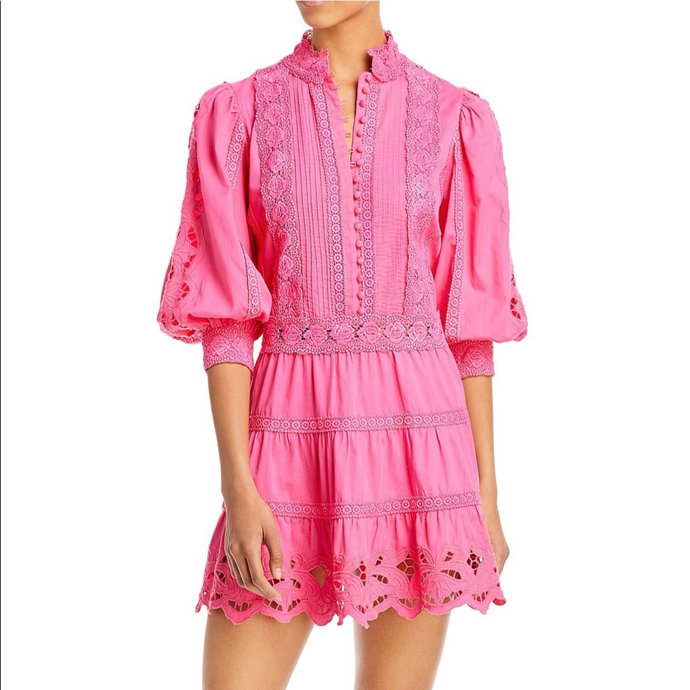 Alice and Olivia embroidered mini